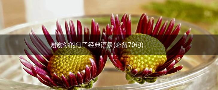 谢谢你的句子经典语录(必备70句),第1张