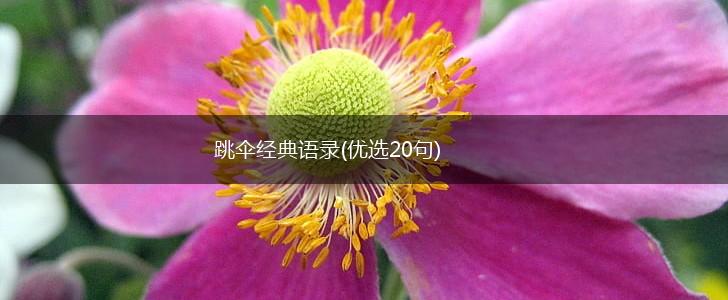 跳伞经典语录(优选20句),第1张