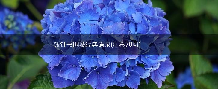 钱钟书围城经典语录(汇总70句),第1张