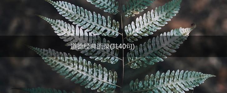 道德经典语录(共40句),第1张