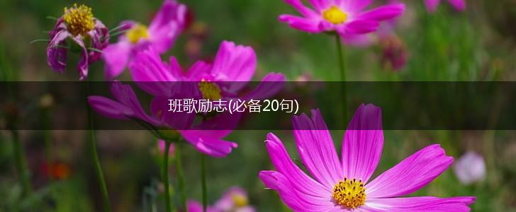 班歌励志(必备20句),第1张 班歌励志(必备20句),第1张