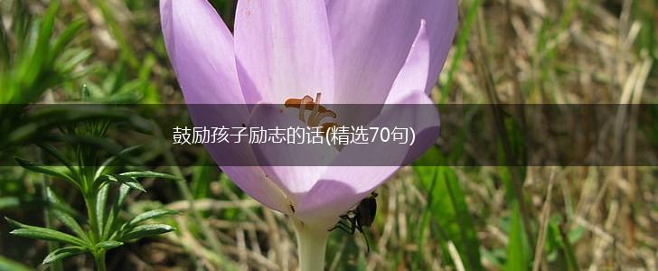 鼓励孩子励志的话(精选70句),第1张