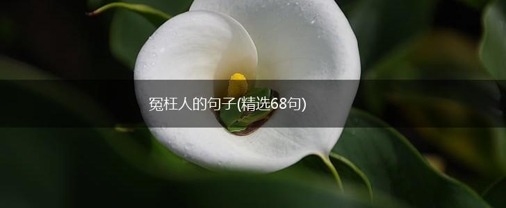 冤枉人的句子(精选68句),第1张