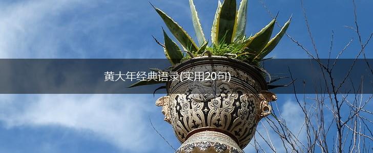 黄大年经典语录(实用20句),第1张