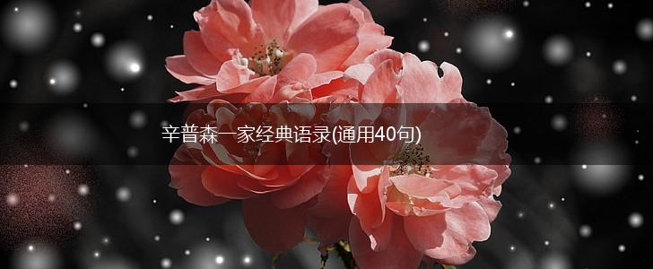 辛普森一家经典语录(通用40句),第1张