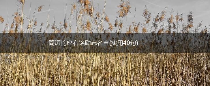 简短的座右铭励志名言(实用40句),第1张 简短的座右铭励志名言(实用40句),第1张