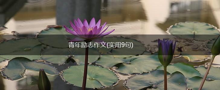 青年励志作文(实用9句),第1张