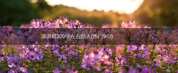 演讲稿300字左右励志(热门9句),第1张