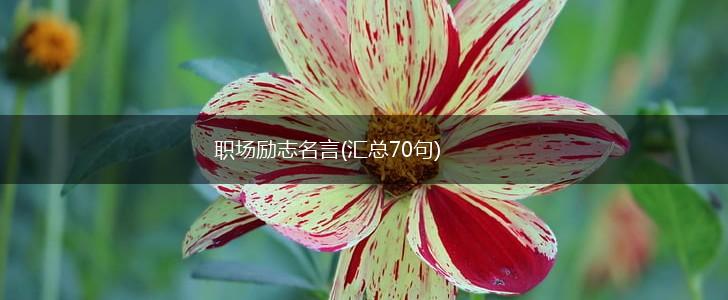职场励志名言(汇总70句),第1张 职场励志名言(汇总70句),第1张