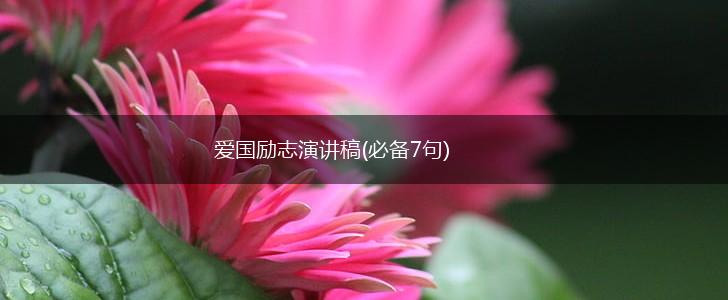 爱国励志演讲稿(必备7句),第1张