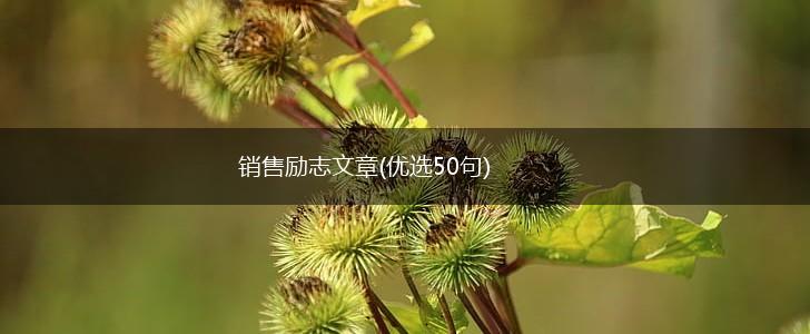 销售励志文章(优选50句),第1张
