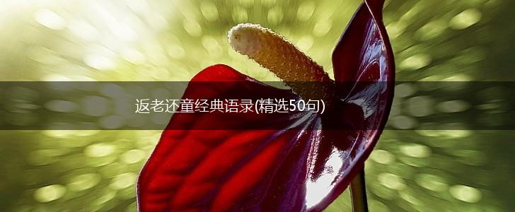 返老还童经典语录(精选50句),第1张