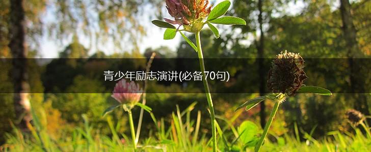 青少年励志演讲(必备70句),第1张