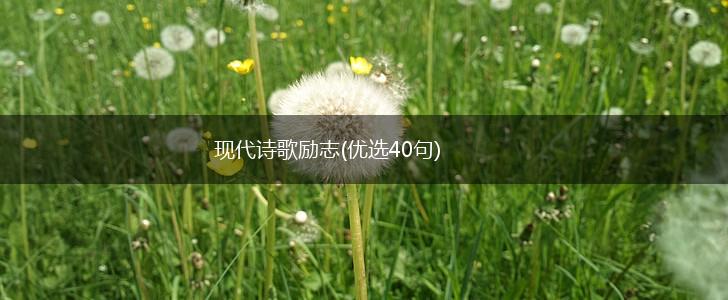 现代诗歌励志(优选40句),第1张