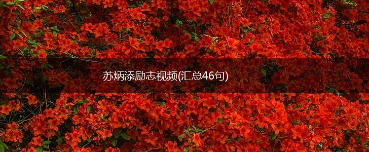 苏炳添励志视频(汇总46句),第1张 苏炳添励志视频(汇总46句),第1张