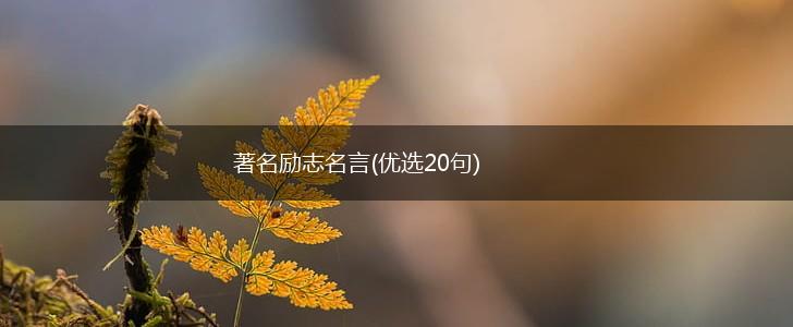 著名励志名言(优选20句),第1张
