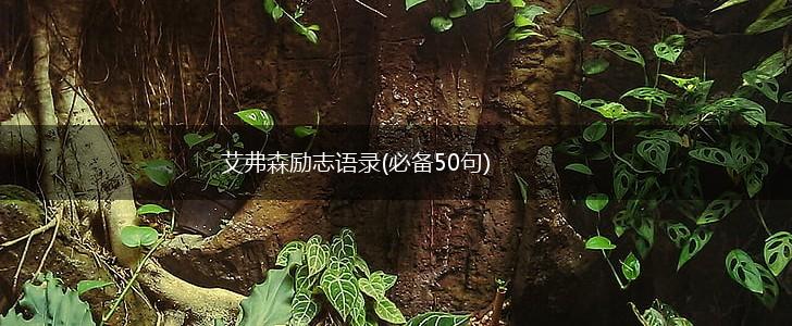 艾弗森励志语录(必备50句),第1张