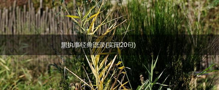 黑执事经典语录(实用20句),第1张