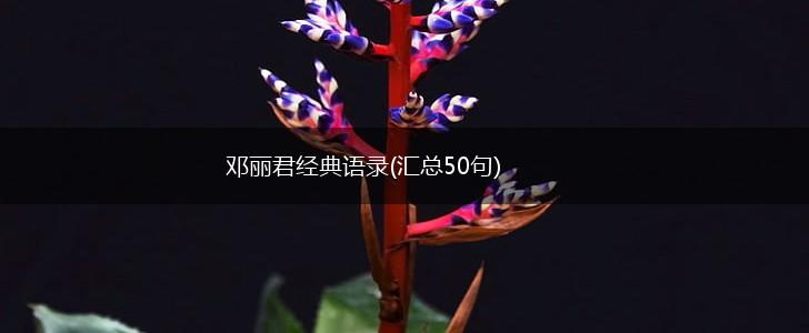 邓丽君经典语录(汇总50句),第1张