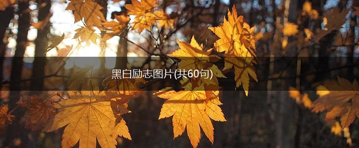 黑白励志图片(共60句),第1张