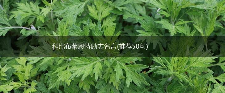 科比布莱恩特励志名言(推荐50句),第1张