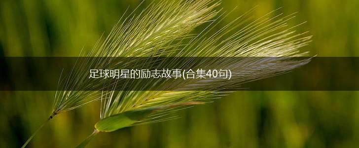 足球明星的励志故事(合集40句),第1张
