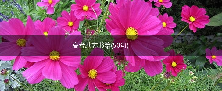 高考励志书籍(50句),第1张