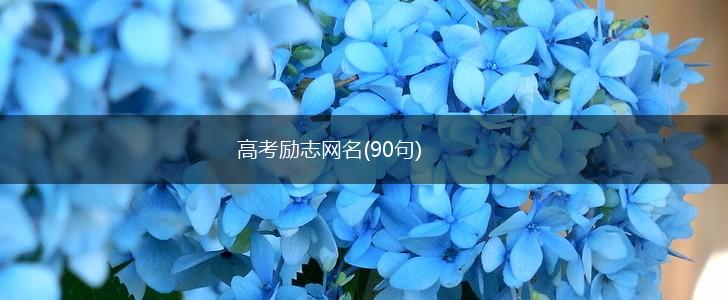 高考励志网名(90句),第1张