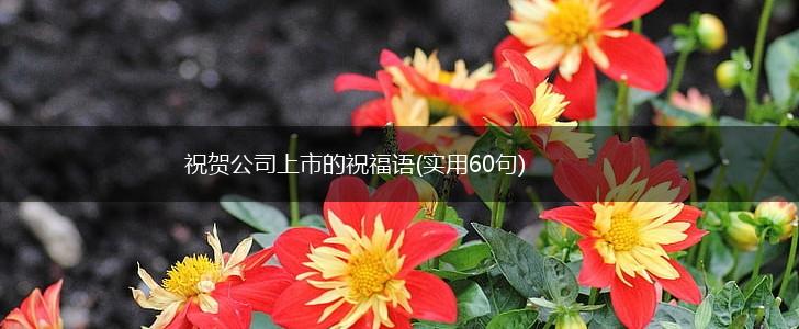 祝贺公司上市的祝福语(实用60句),第1张