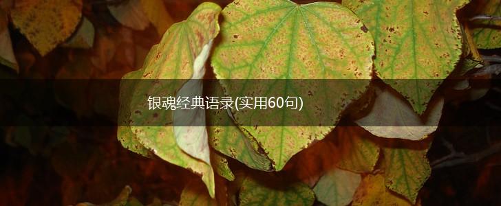 银魂经典语录(实用60句),第1张