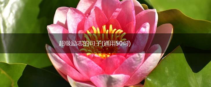 超级励志的句子(通用50句),第1张