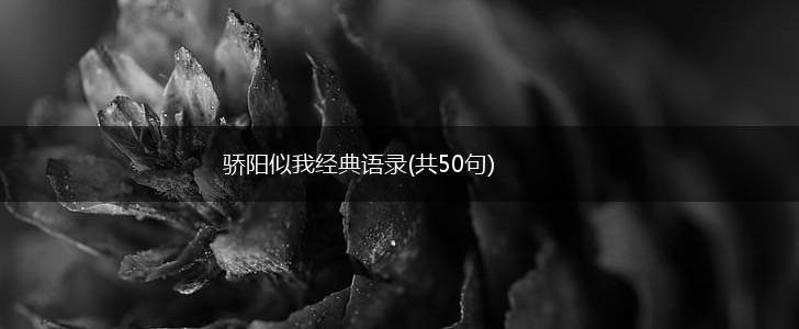 骄阳似我经典语录(共50句),第1张
