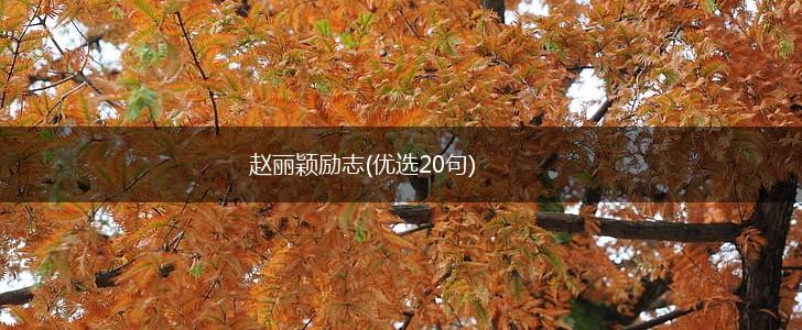 赵丽颖励志(优选20句),第1张