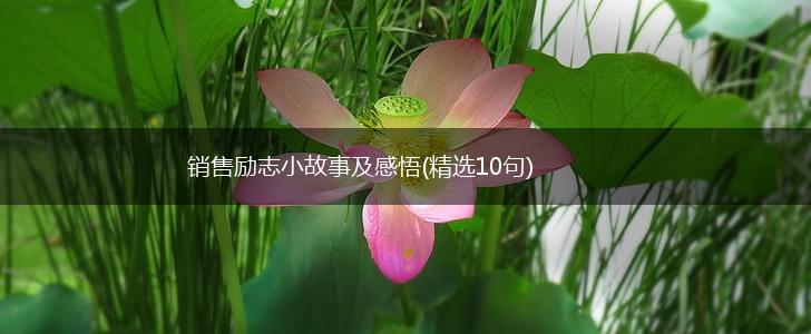 销售励志小故事及感悟(精选10句),第1张