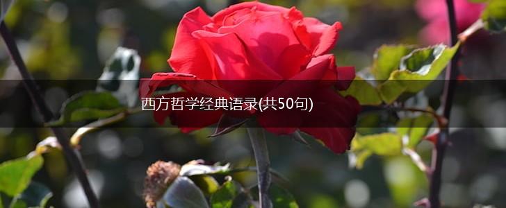 西方哲学经典语录(共50句),第1张