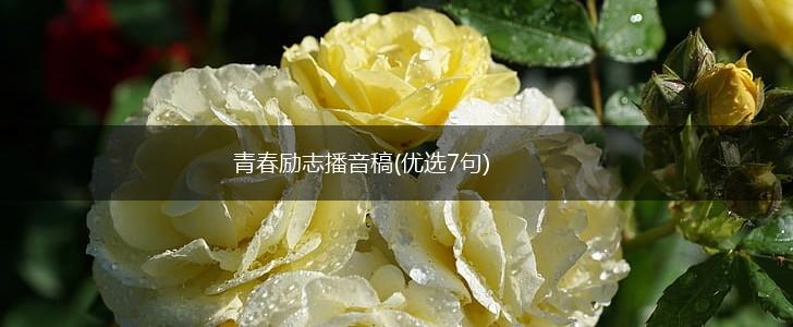 青春励志播音稿(优选7句),第1张