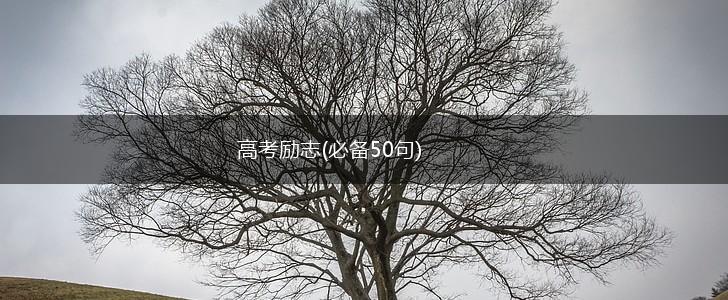 高考励志(必备50句),第1张