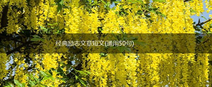 经典励志文章短文(通用50句),第1张 经典励志文章短文(通用50句),第1张