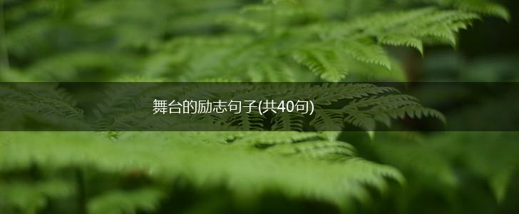 舞台的励志句子(共40句),第1张 舞台的励志句子(共40句),第1张