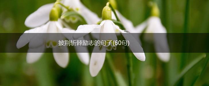 披荆斩棘励志的句子(60句),第1张