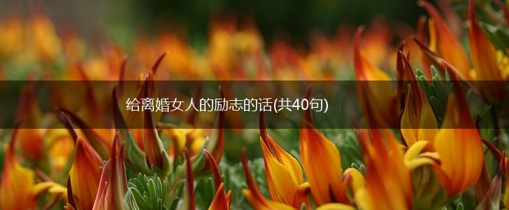 给离婚女人的励志的话(共40句),第1张 给离婚女人的励志的话(共40句),第1张