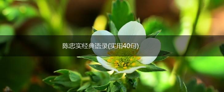 陈忠实经典语录(实用40句),第1张