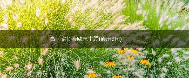 高三家长会励志主题(通用9句),第1张