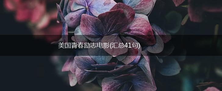 美国青春励志电影(汇总41句),第1张