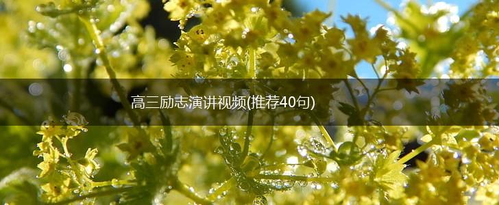 高三励志演讲视频(推荐40句),第1张
