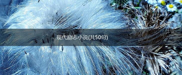 现代励志小说(共50句),第1张