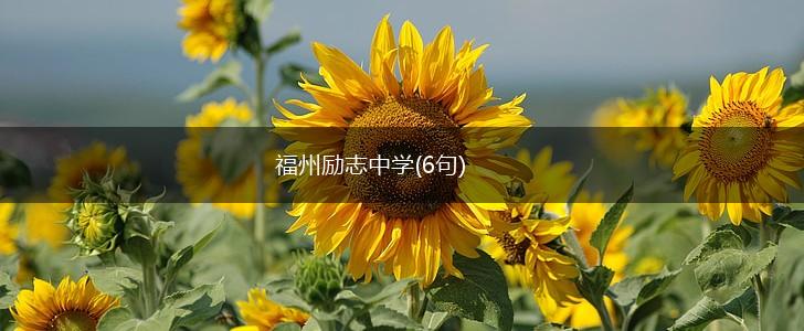 福州励志中学(6句),第1张
