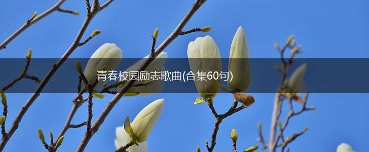 青春校园励志歌曲(合集60句),第1张