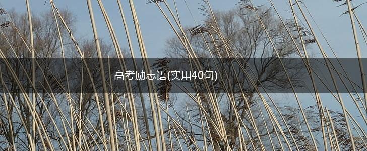 高考励志语(实用40句),第1张