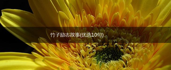 竹子励志故事(优选10句),第1张